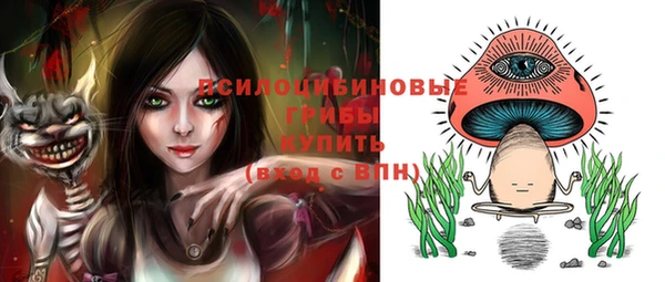 эйфоретик Алзамай